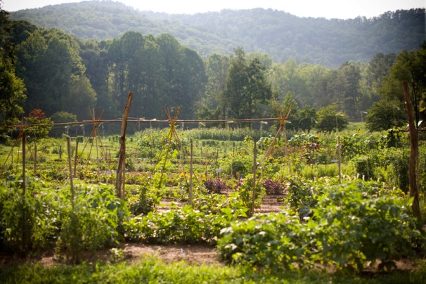 the-gardens-at-blackberry-farm-support-fresh-seasonal-fare