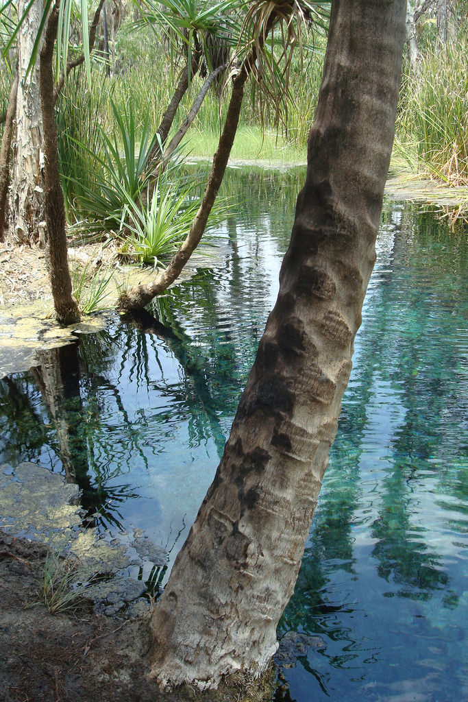 Savannah Road, Mataranka, Elsey National Park