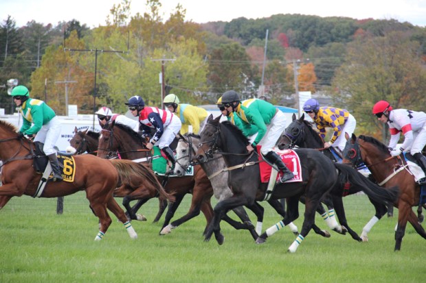 Farhills Race_horse racing_open road BMW (8)