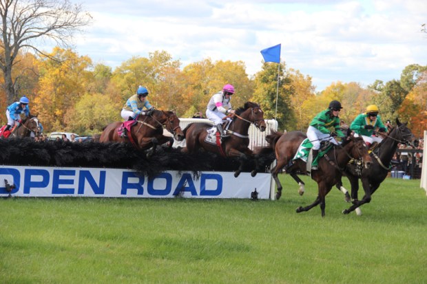 Farhills Race_horse racing_open road BMW (4)