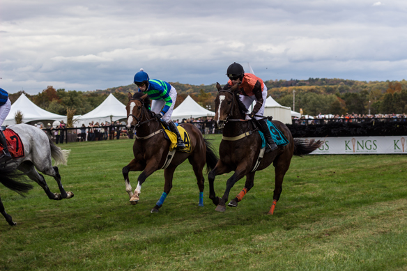 deep hill horse racing (1)