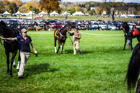 distant hill racetrack (13)